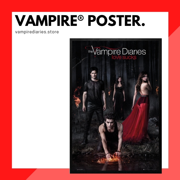 Elena & Damon  Vampire diaries poster, Vampire diaries, Movie