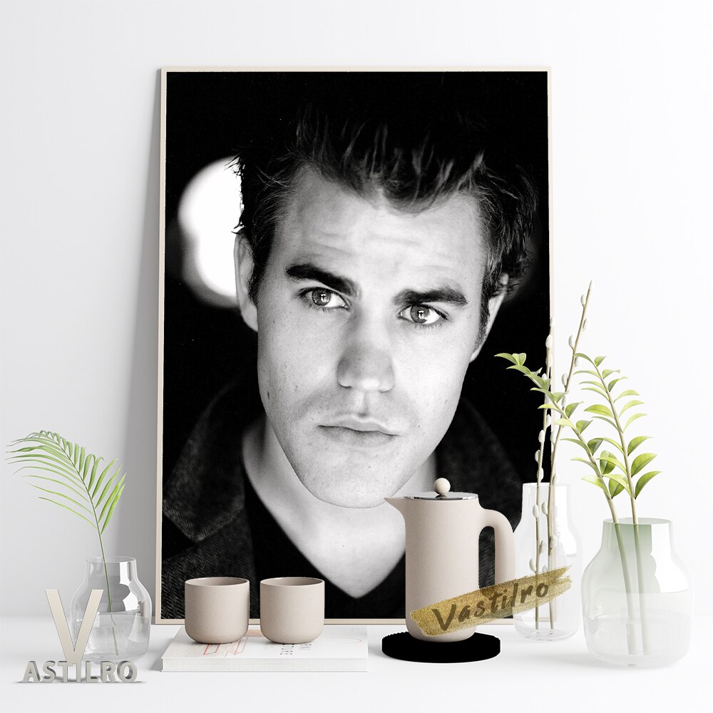 The Vampire Diaries: Stefan Salvatore